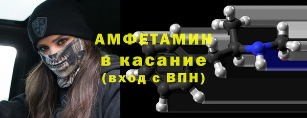прущие грибы Аркадак