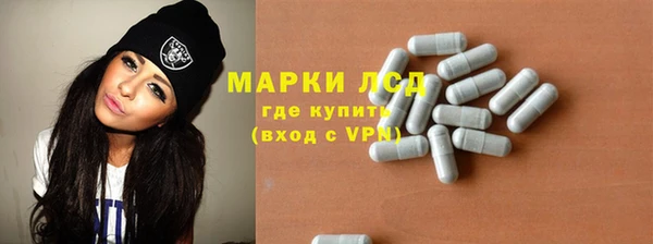 прущие грибы Аркадак