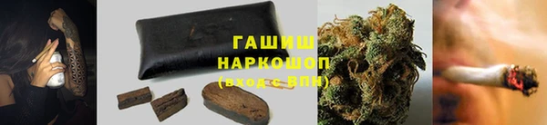 эйфоретик Арсеньев