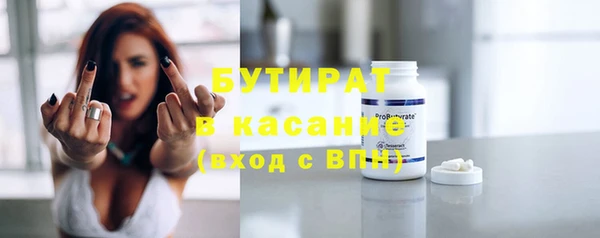 прущие грибы Аркадак