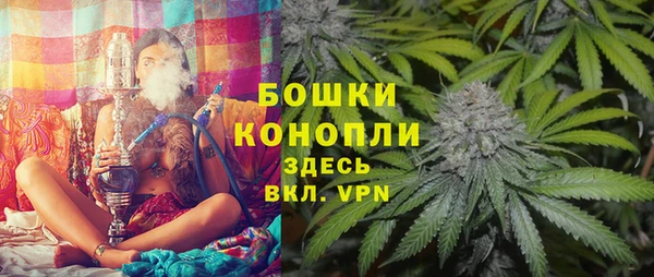 эйфоретик Арсеньев