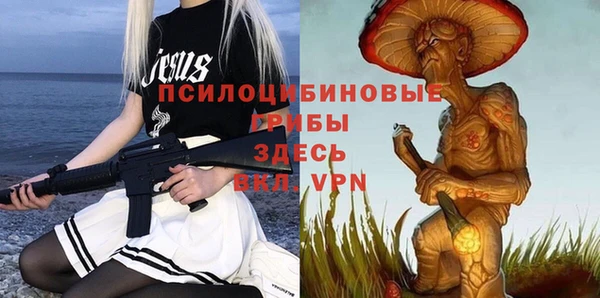 кокс Баксан