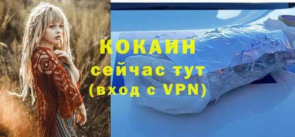 эйфоретик Арсеньев