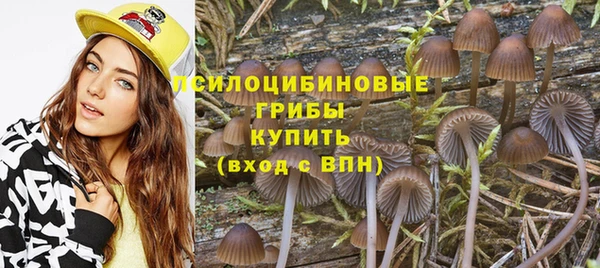 винт Армянск