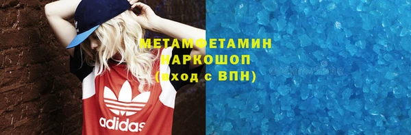 прущие грибы Аркадак