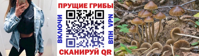 Галлюциногенные грибы Cubensis Мантурово